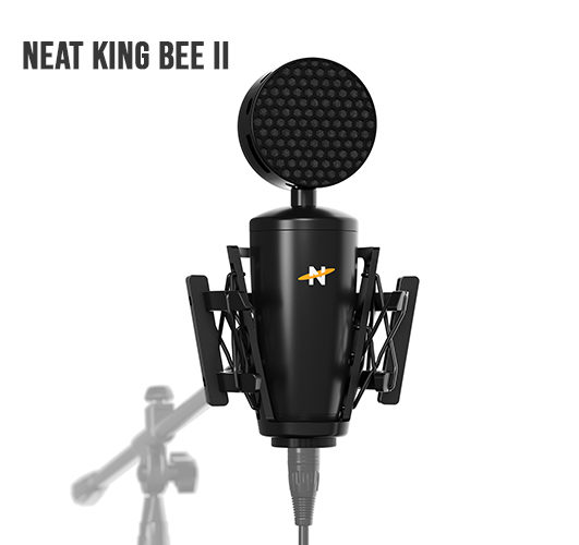 Cover Review Neat King Bee II