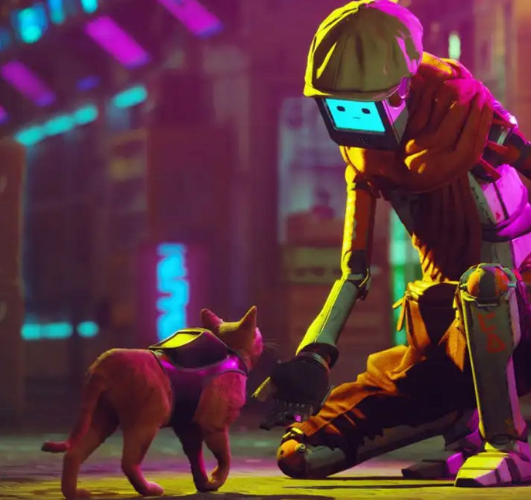 Stray Film Animation pour bientot Les Players Du Dimanche
