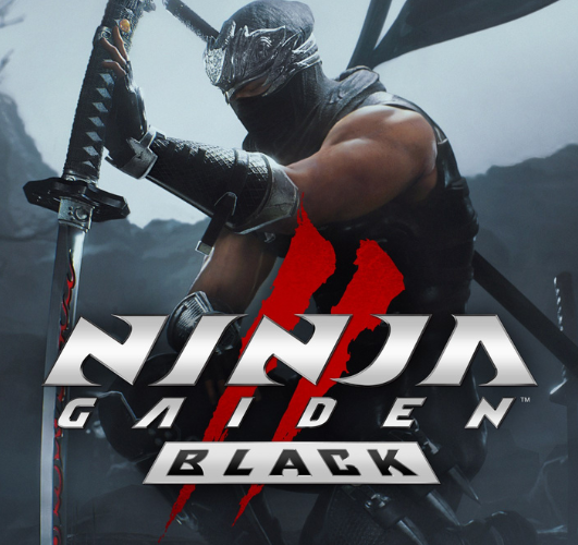 Ninja Gaiden 2 Black avis