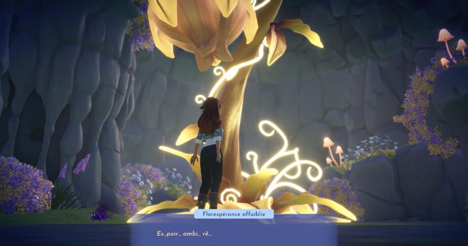 wishblossom ranch fletrissure