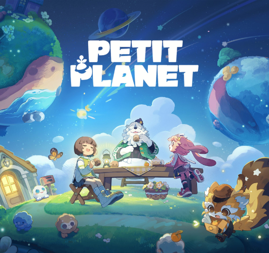 Petit Planet Les Players Du Dimanche