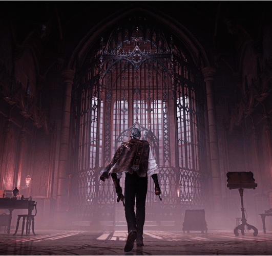 Duskbloods Switch 2 Test reseau