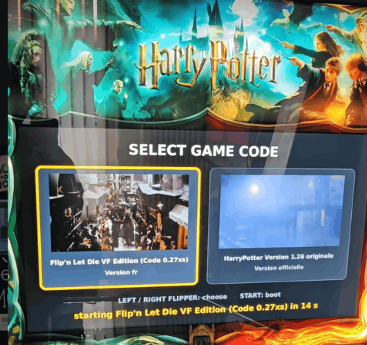 flipper Harry Potter JJP français Xavier Soubra Flipnletdie